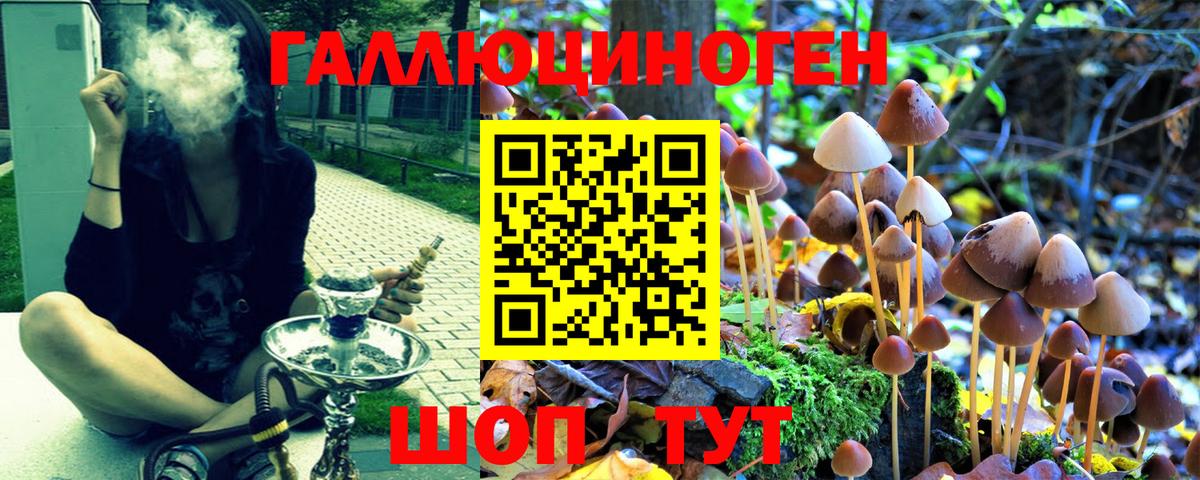 Галлюциногенные грибы прущие грибы  Псилоцибиновые грибы MAGIC MUSHROOMS  Вход с VPN  Камень-на-Оби 