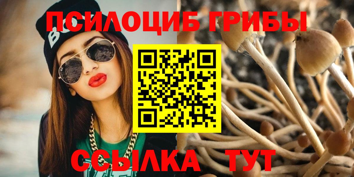 Псилоцибиновые грибы ЛСД Камень-на-Оби